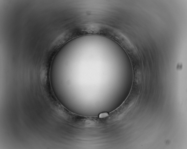 X0000102850697200808251203