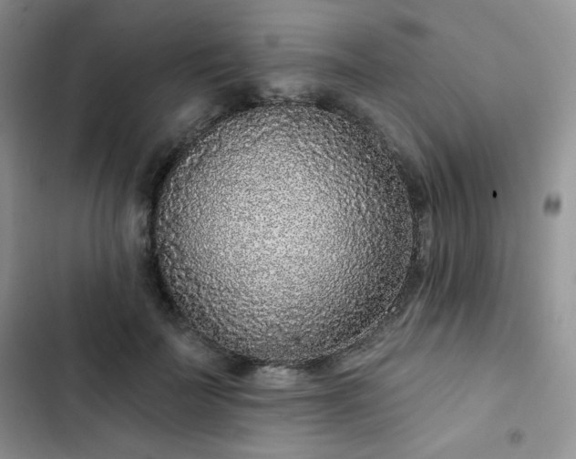 X0000102850699200808251203