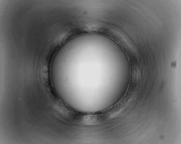 X0000102850700200808251203