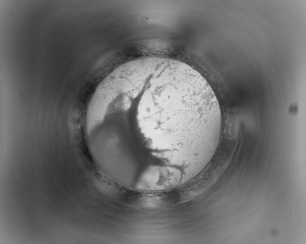 X0000102850701200808251203