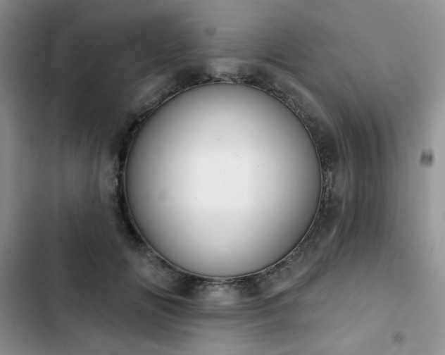 X0000102850702200808251203