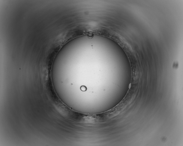 X0000102850703200808251203