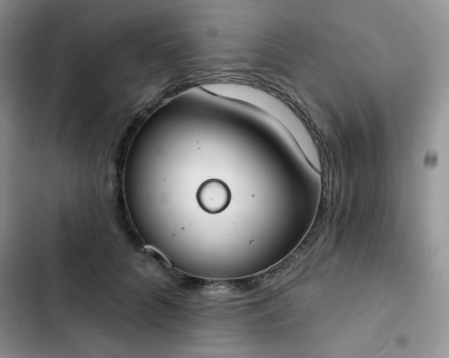X0000102850704200808251203