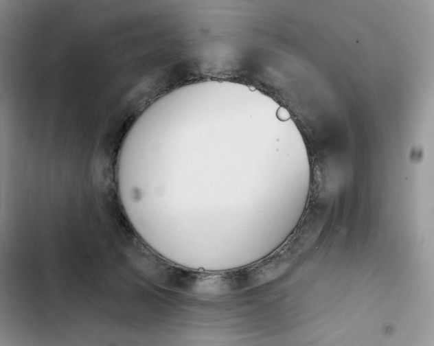 X0000102850705200808251203