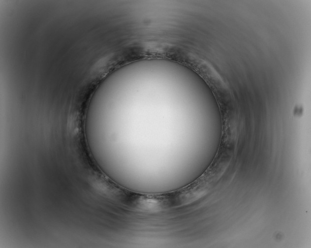 X0000102850706200808251203