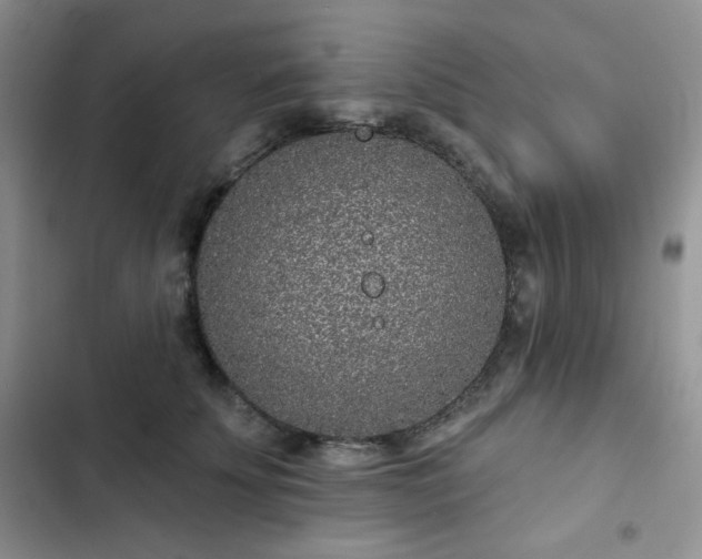 X0000102850707200808251203