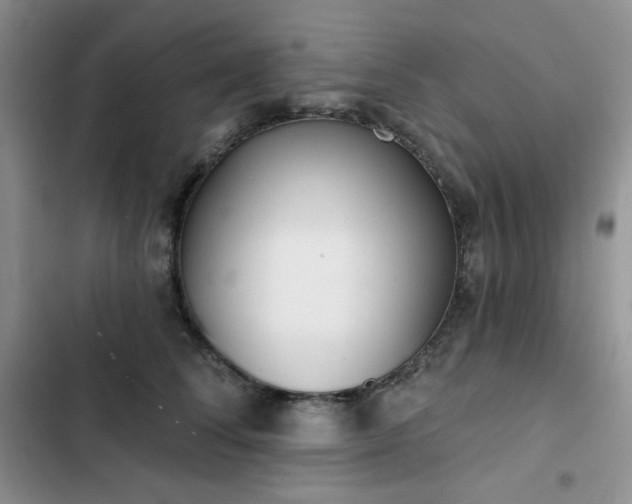 X0000102850708200808251202
