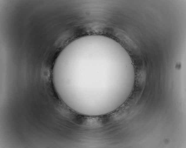 X0000102850709200808251202