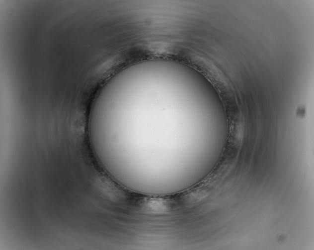 X0000102850710200808251202