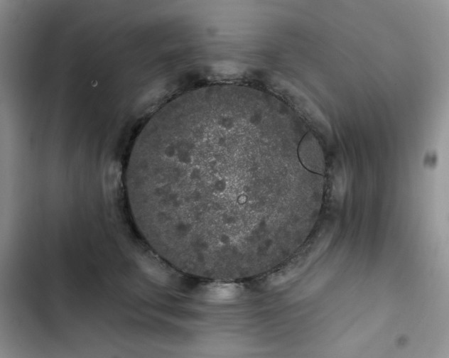 X0000102850711200808251202