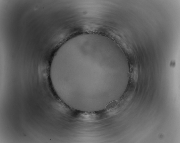 X0000102850712200808251202