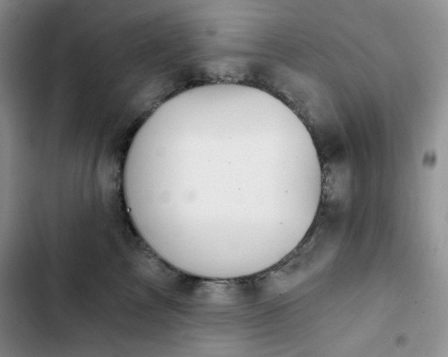 X0000102850713200808251202