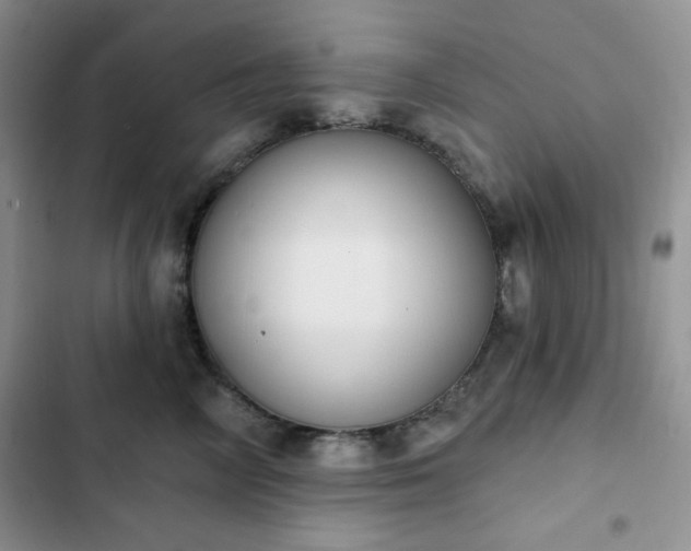 X0000102850714200808251202