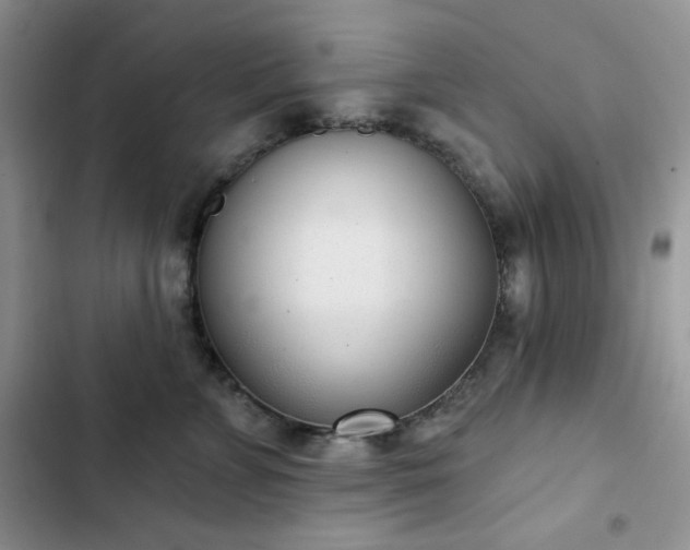 X0000102850715200808251202