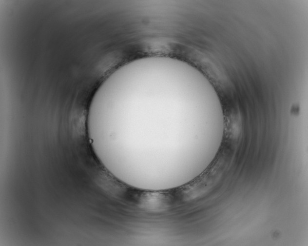 X0000102850717200808251202