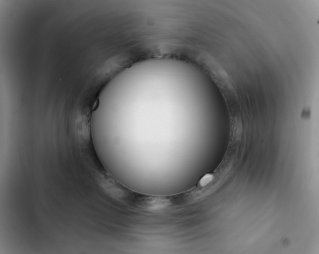 X0000102850719200808251202