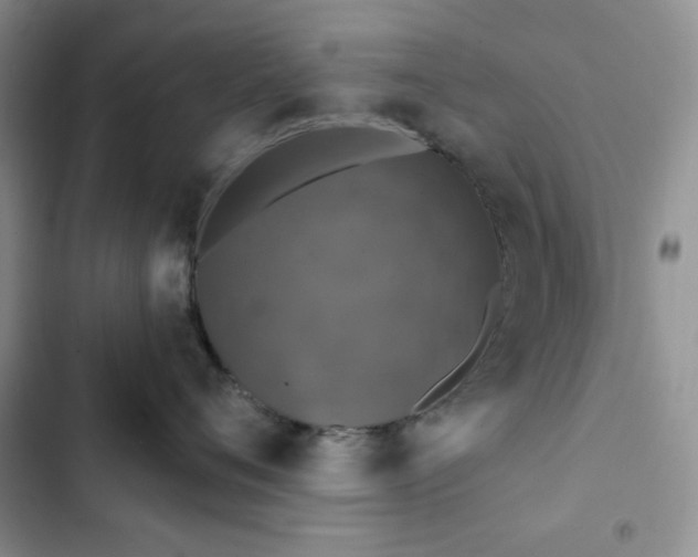 X0000102850720200808251202