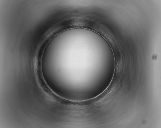 X0000102850722200808251202