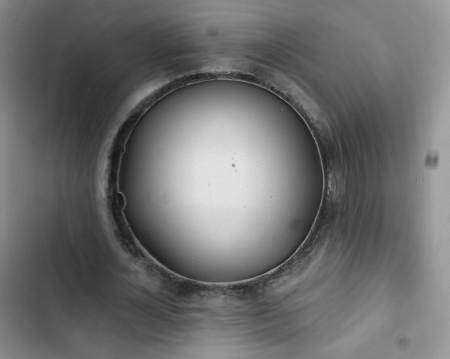 X0000102850724200808251202