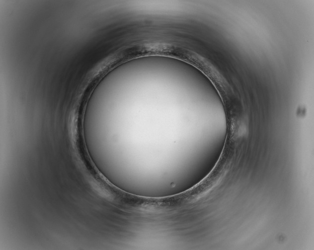 X0000102850725200808251202
