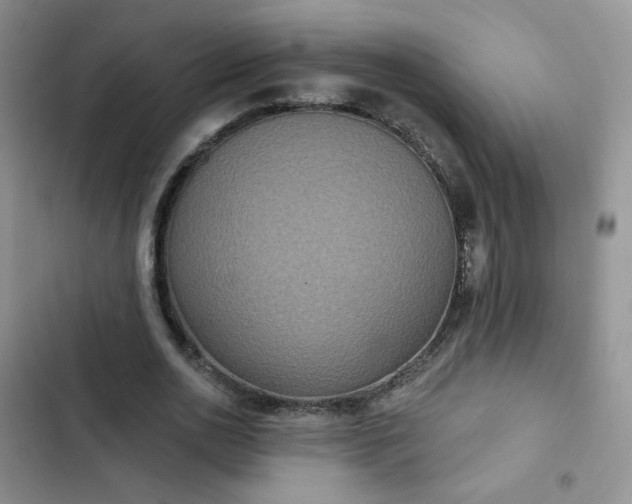 X0000102850726200808251202