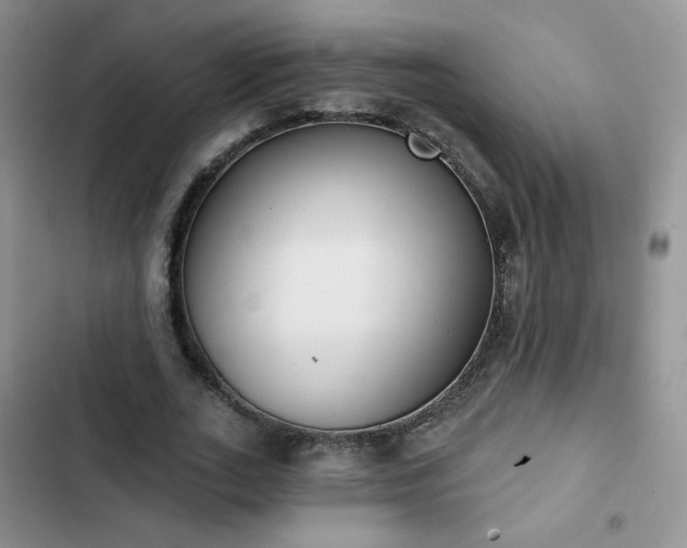 X0000102850727200808251202