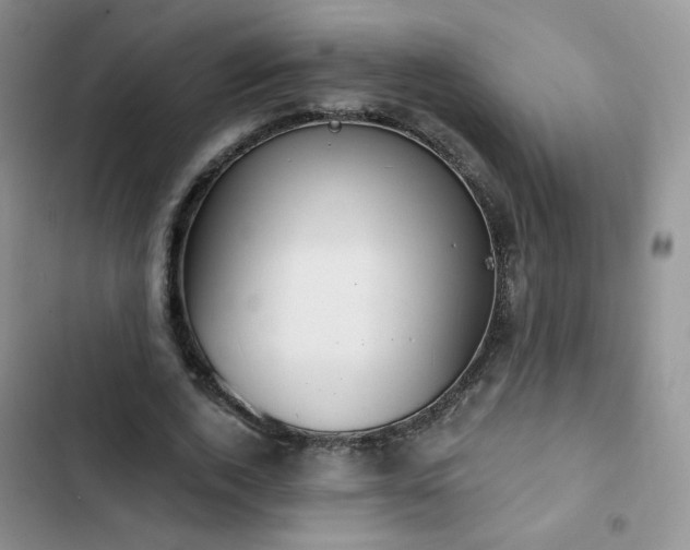 X0000102850728200808251202