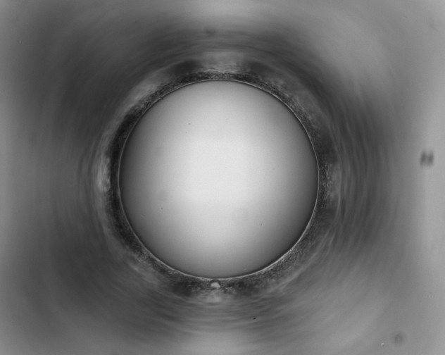 X0000102850731200808251202