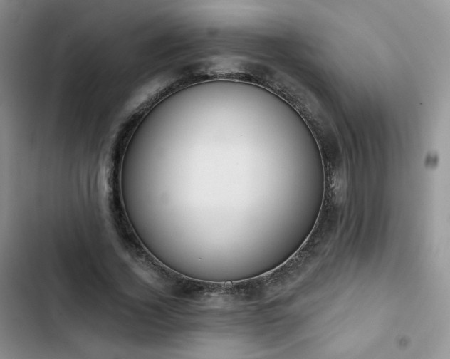 X0000102850732200808251202