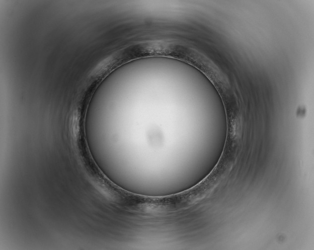 X0000102850733200808251202