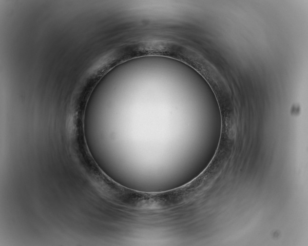 X0000102850735200808251202