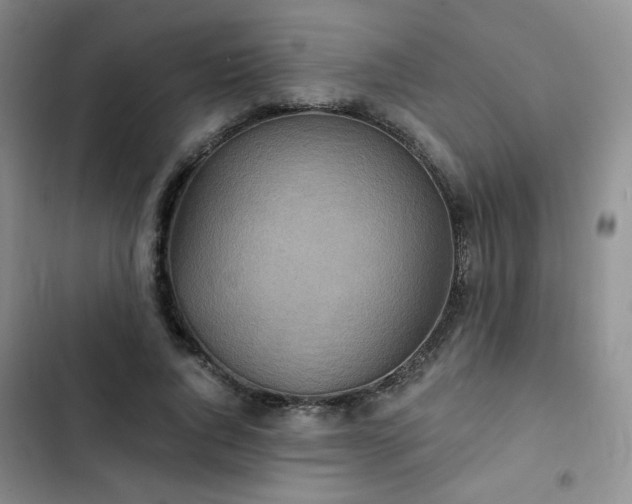 X0000102850736200808251202