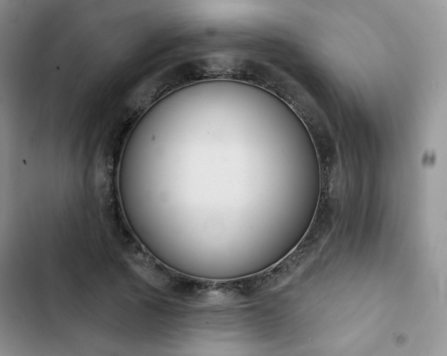 X0000102850737200808251202