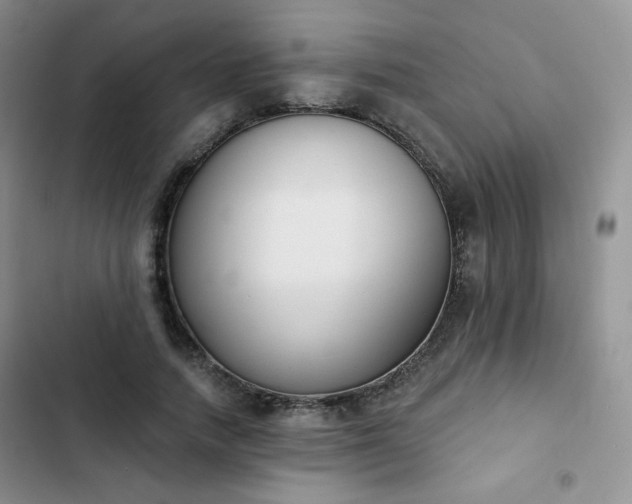 X0000102850738200808251202