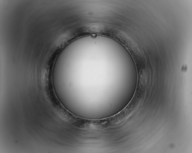 X0000102850739200808251202