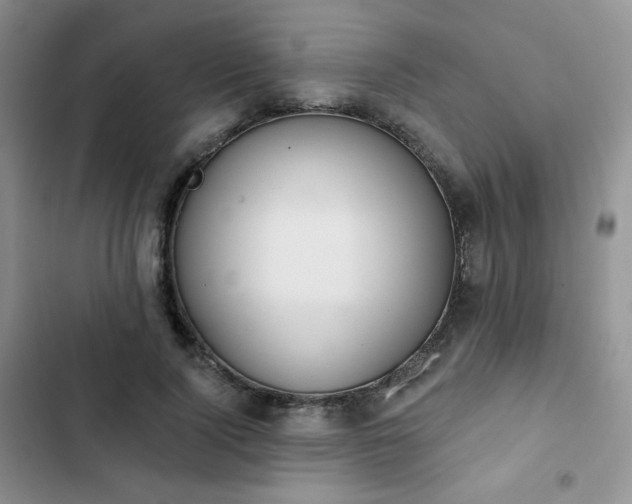 X0000102850740200808251202