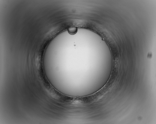 X0000102850741200808251202