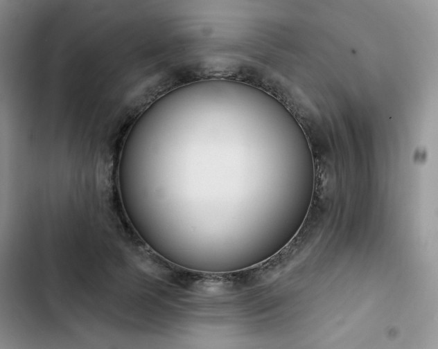 X0000102850745200808251202