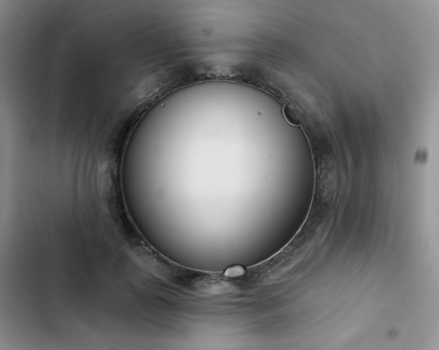 X0000102850747200808251202