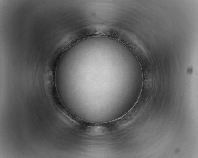 X0000102850748200808251202