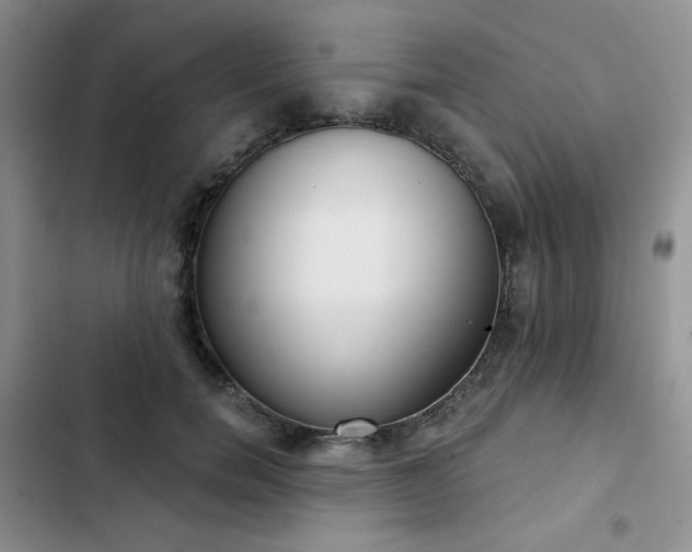 X0000102850750200808251202