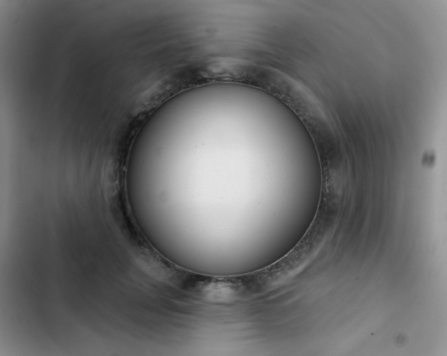 X0000102850751200808251202