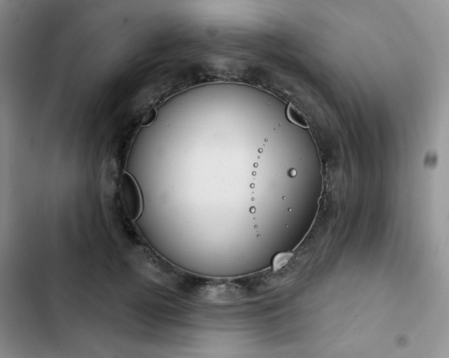 X0000102850752200808251202