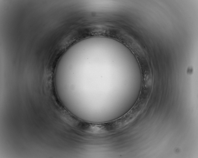 X0000102850753200808251202