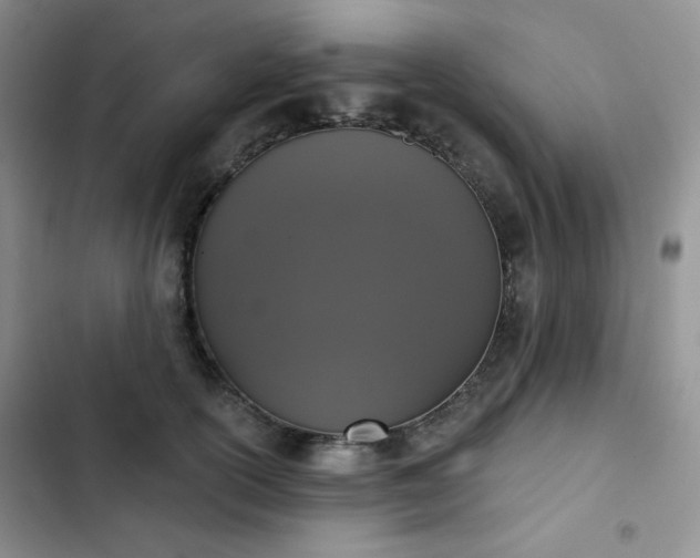 X0000102850754200808251202