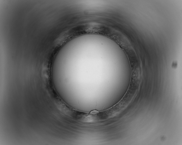 X0000102850755200808251202