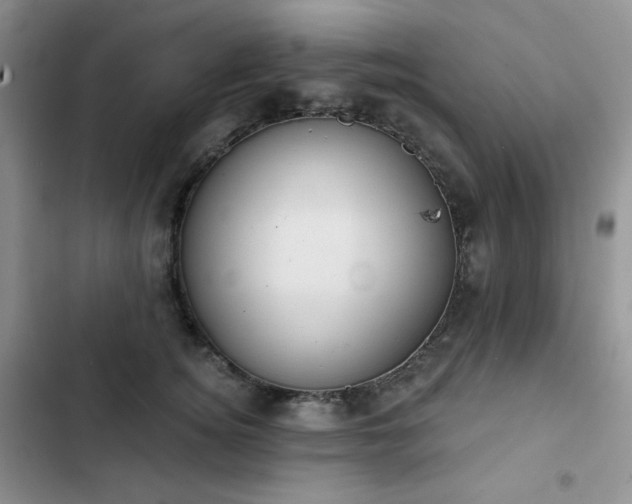 X0000102850756200808251202