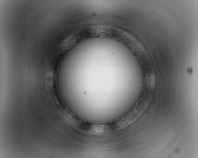 X0000102850757200808251202