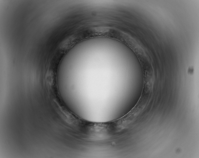 X0000102850758200808251202