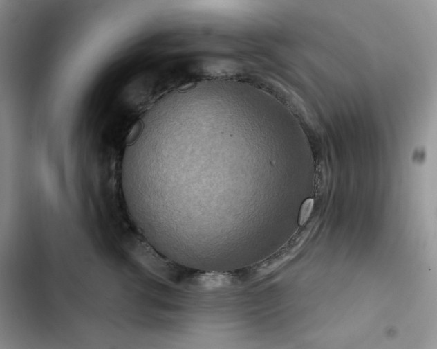 X0000102850762200808251202